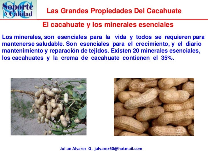 Las grandes propiedades del cacahuate