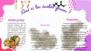 Funciones
Funciones de los Ácidos grasos
-Fuente de Energía : los ácidos grasos
son una fuente importante de energía
para las células.
-Componentes de las Membranas
Celulares : los ácidos grasos son
componentes importantes de las
membranas celulares y juegan un
papel en la estructura y función de las
células.
Síntesis de Hormonas : los ácidos
grasos son precursores de la síntesis de
hormonas, como las prostaglandinas.
Un ácido graso es un tipo de
molécula orgánica que se
encuentra en los lípidos, que
son un grupo de biomoléculas
que desempeñan un papel
importante en la estructura y
función de los seres vivos. Los
ácidos grasos están
compuestos por una cadena
de carbonos con un grupo
carboxilo (-COOH) en un
extremo y un grupo metilo (-
CH3) en el otro extremo.
Acidos grasos
¿Que es los ácidos grasos ?
¿Que es los ácidos grasos ?
Estructura Química
La fórmula general de un ácido graso es:
R-COOH
Donde R es la cadena de carbonos que puede variar en
longitud y grado de saturación.
Ejemplos de Ácidos Grasos
- *Ácido Oleico* (C18:1 Δ9): CH₃(CH₂)₇CH=CH(CH₂)₇COOH
- *Ácido Palmítico* (C16:0): CH₃(CH₂)₁₄COOH
- *Ácido Linoléico* (C18:2 Δ9,12):
CH₃(CH₂)₄CH=CHCH₂CH=CH(CH₂)₇COOH
Formula
 