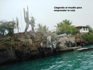 Llegando al muelle para
emprender la ruta
 