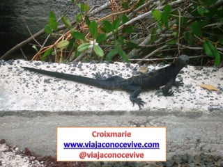 Las Grietas de Galápagos