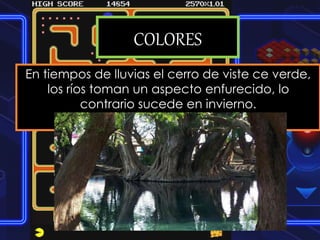 COLORES
En tiempos de lluvias el cerro de viste ce verde,
los ríos toman un aspecto enfurecido, lo
contrario sucede en invierno.
 