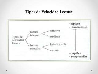 Tipos de Velocidad Lectora:
 