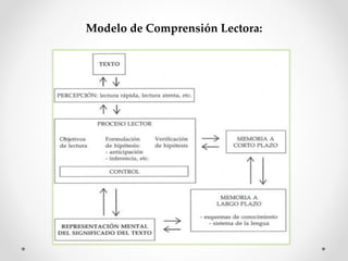 Modelo de Comprensión Lectora:
 