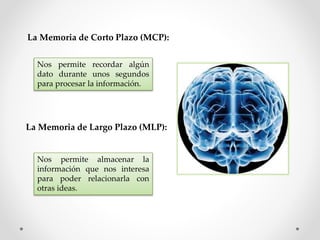 La Memoria de Corto Plazo (MCP):
Nos permite recordar algún
dato durante unos segundos
para procesar la información.
La Memoria de Largo Plazo (MLP):
Nos permite almacenar la
información que nos interesa
para poder relacionarla con
otras ideas.
 