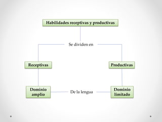 Habilidades receptivas y productivas
Se dividen en
Receptivas Productivas
Dominio
amplio
Dominio
limitado
De la lengua
 