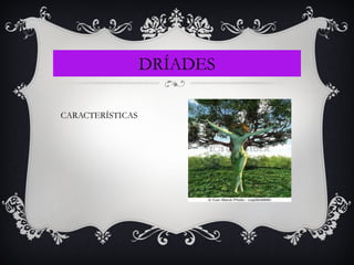 DRÍADES
CARACTERÍSTICAS