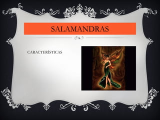 SALAMANDRAS
CARACTERÍSTICAS