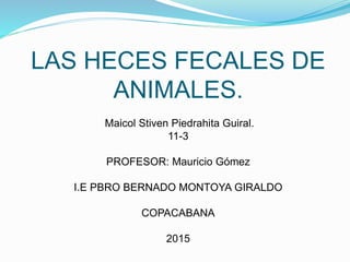 LAS HECES FECALES DE
ANIMALES.
Maicol Stiven Piedrahita Guiral.
11-3
PROFESOR: Mauricio Gómez
I.E PBRO BERNADO MONTOYA GIRALDO
COPACABANA
2015
 
