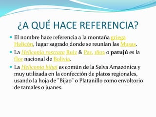 ¿A QUÉ HACE REFERENCIA?El nombre hace referencia a la montaña griegaHelicón, lugar sagrado donde se reunían las Musas.La Heliconia rostrataRuiz & Pav.1802 o patujú es la flor nacional de Bolivia.La Heliconia bihai es común de la Selva Amazónica y muy utilizada en la confección de platos regionales, usando la hoja de "Bijao" o Platanillo como envoltorio de tamales o juanes.