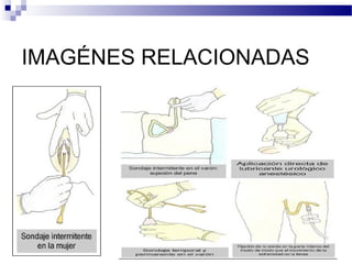 IMAGÉNES RELACIONADAS
 