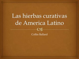 Las hierbascurativas de America Latino Collin Ballard  