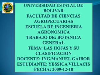 UNIVERSIDAD ESTATAL DE BOLIVAR FACULTAD DE CIENCIAS AGROPECUARIASESCUELA DE INGENIERIA AGRONOMICA TRABAJO DE: BOTANICA GENERALTEMA: LAS HOJAS Y SU CLASIFICACIONDOCENTE: ING.MANUEL GAIBORESTUDIANTE: YESSICA VILLACISFECHA: 2009-12-18 