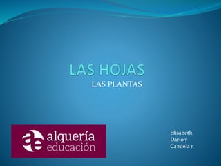 LAS PLANTAS
Elisabeth,
Darío y
Candela r.
 