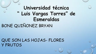 Universidad técnica
“ Luis Vargas Torres” de
Esmeraldas
BONE QUIÑONEZ BRYAN
QUE SON LAS HOJAS- FLORES
Y FRUTOS
 