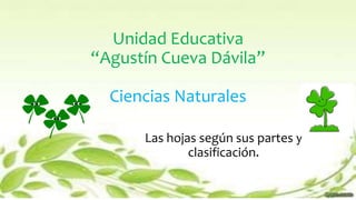 Unidad Educativa
“Agustín Cueva Dávila”
Ciencias Naturales
Las hojas según sus partes y
clasificación.
 