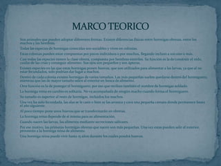 Son animales que pueden adoptar diferentes formas. Existen diferencias físicas entre hormigas obreras, entre los 
machos y las hembras. 
Todas las especies de hormigas conocidas son sociables y viven en colonias. 
Estas colonias pueden estar compuestas por pocos individuos o por muchos, llegando incluso a 100.000 o más. 
Casi todas las especies tienen la clase obrera, compuesta por hembras estériles. Su función es la de construir el nido, 
cuidar de las crías y conseguir alimento. Sus ojos son pequeños y son ápteras. 
Existen especies en las que estas hormigas ponen huevos, que son utilizados para alimentar a las larvas, ya que al no 
estar fecundados, solo podrían dar lugar a machos. 
Dentro de cada colonia existen hormigas de varios tamaños. Las más pequeñas suelen quedarse dentro del hormiguero, 
mientras que las de mayor tamaño salen al exterior en busca de alimento. 
Otra función es la de proteger el hormiguero, por eso que reciban también el nombre de hormigas soldado. 
La hormiga reina en cambio es solitaria. No va acompañada de ningún macho cuando forma el hormiguero. 
Su tamaño es superior al resto de hormigas, incluidos los machos. 
Una vez ha sido fecundada, las alas se le caen o bien se las arranca y cava una pequeña cámara donde permanece hasta 
el año siguiente. 
Al poco tiempo pone unos huevos que se transformarán en obreras. 
La hormiga reina depende de sí misma para su alimentación. 
Cuando nacen las larvas, las alimenta mediante secreciones salivares. 
Por ese motivo, las primeras hormigas obreras que nacen son más pequeñas. Una vez estas pueden salir al exterior, 
proveerán a la hormiga reina de alimento. 
Una hormiga reina puede vivir hasta 15 años durante los cuales pondrá huevos. 
 