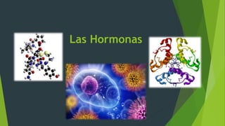 Las Hormonas
 