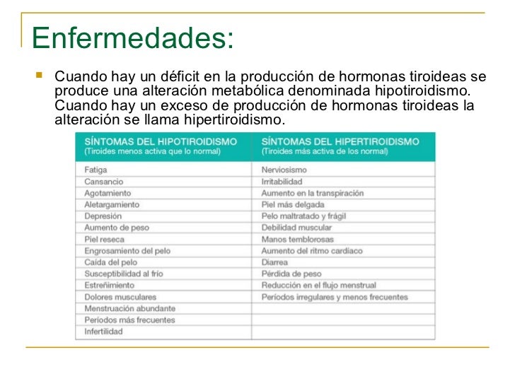 Dieta Metabolismo Acelerado