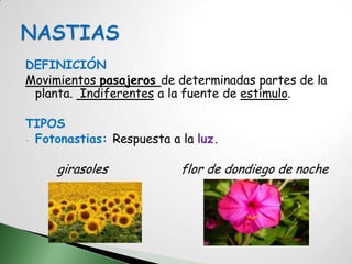DEFINICIÓN
Movimientos pasajeros de determinadas partes de la
 planta. Indiferentes a la fuente de estímulo.

TIPOS
- Fotonastias: Respuesta a la luz.


     girasoles             flor de dondiego de noche
 