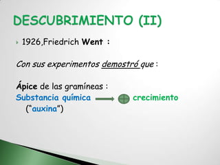    1926,Friedrich Went :

Con sus experimentos demostró que :

Ápice de las gramíneas :
Substancia química          crecimiento
  (“auxina”)
 