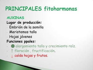 AUXINAS
Lugar de producción:
- Embrión de la semilla
- Meristemos tallo
- Hojas jóvenes
Funciones ppales:
-     alargamiento tallo y crecimiento raíz.
-    floración , fructificación.
-    caída hojas y frutos.
 