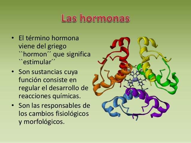 Regular hormonas