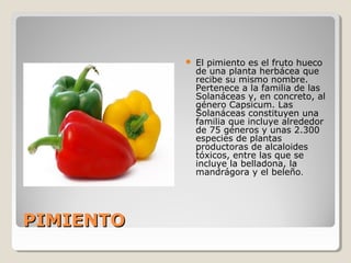 PIMIENTOPIMIENTO
 El pimiento es el fruto hueco
de una planta herbácea que
recibe su mismo nombre.
Pertenece a la familia de las
Solanáceas y, en concreto, al
género Capsicum. Las
Solanáceas constituyen una
familia que incluye alrededor
de 75 géneros y unas 2.300
especies de plantas
productoras de alcaloides
tóxicos, entre las que se
incluye la belladona, la
mandrágora y el beleño.
 