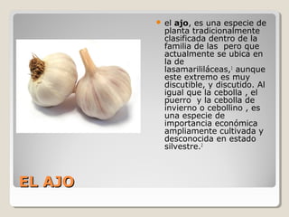 EL AJOEL AJO
 el ajo, es una especie de
planta tradicionalmente
clasificada dentro de la
familia de las pero que
actualmente se ubica en
la de
lasamarililáceas,1
aunque
este extremo es muy
discutible, y discutido. Al
igual que la cebolla , el
puerro y la cebolla de
invierno o cebollino , es
una especie de
importancia económica
ampliamente cultivada y
desconocida en estado
silvestre.2
 
