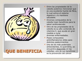 QUE BENEFICIAQUE BENEFICIA
 Entre las propiedades de la
cebolla podemos mencionar que
es una excelente fuente de fibra,
lo cual activa el sistema
digestivo y lo mantiene
saludable.
 Diversos compuestos de la
cebolla traen beneficios para la
salud cardiovascular.
 Otra de las propiedades de la
cebolla es su alto contenido de
vitamina C, que ayuda en gran
medida a curar
diversas enfermedades.
 Posee compuestos
antiinflamatorios útiles para
distintos padecimientos.
 Uno de los más poderosos
antioxidantes, la quercitina, se
encuentra disponible en las
cebollas; uno de sus beneficios
es la prevención del cáncer
 