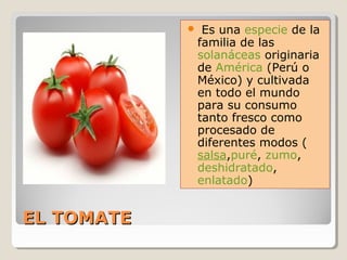 EL TOMATEEL TOMATE
 Es una especie de la
familia de las
solanáceas originaria
de América (Perú o
México) y cultivada
en todo el mundo
para su consumo
tanto fresco como
procesado de
diferentes modos (
salsa,puré, zumo,
deshidratado,
enlatado)
 
