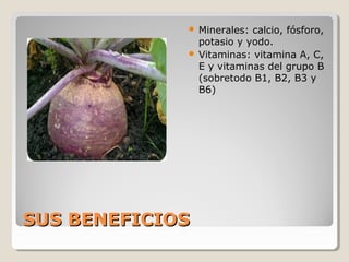 SUS BENEFICIOSSUS BENEFICIOS
 Minerales: calcio, fósforo,
potasio y yodo.
 Vitaminas: vitamina A, C,
E y vitaminas del grupo B
(sobretodo B1, B2, B3 y
B6)
 