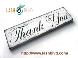 http://www.lashblvd.com/
 