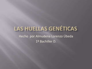 las huellas genéticas Hecho  por Almudena Lorenzo Úbeda 1º Bachiller D. 