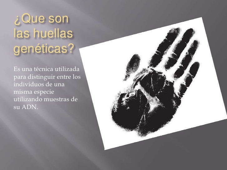 Las Huellas GenéTicas Por Almudena Lorenzo