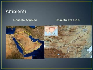 Deserto Arabico   Deserto del Gobi
 