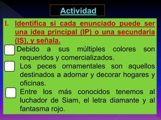 I. Identifica si cada enunciado puede ser 
una idea principal (IP) o una secundaria 
(IS), y señala. 
Debido a sus múltiples colores son 
requeridos y comercializados. 
Los peces ornamentales son aquellos 
destinados a adornar y decorar hogares y 
oficinas. 
Entre los más conocidos tenemos al 
luchador de Siam, el letra diamante y al 
fantasma rojo. 
 