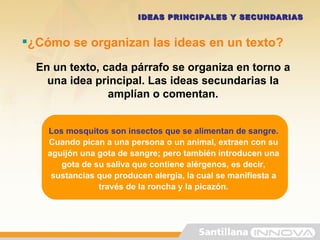 IDEAS PRINCIPALES Y SECUNDARIAS En un texto, cada párrafo se organiza en torno a una idea principal. Las ideas secundarias la amplían o comentan. ¿Cómo se organizan las ideas en un texto? Los mosquitos son insectos que se alimentan de sangre. Cuando pican a una persona o un animal, extraen con su aguijón una gota de sangre; pero también introducen una gota de su saliva que contiene alérgenos, es decir, sustancias que producen alergia, la cual se manifiesta a través de la roncha y la picazón.