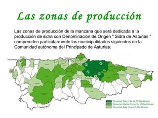 Las zonas de producción
Las zonas de producción de la manzana que será dedicada a la
producción de sidra con Denominación de Origen " Sidra de Asturias "
comprenden particularmente las municipalidades siguientes de la
Comunidad autónoma del Principado de Asturias:
 