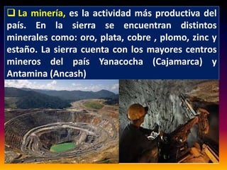  La minería, es la actividad más productiva del 
país. En la sierra se encuentran distintos 
minerales como: oro, plata, cobre , plomo, zinc y 
estaño. La sierra cuenta con los mayores centros 
mineros del país Yanacocha (Cajamarca) y 
Antamina (Ancash) 

