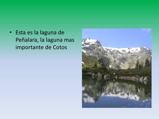 • Esta es la laguna de
Peñalara, la laguna mas
importante de Cotos
 