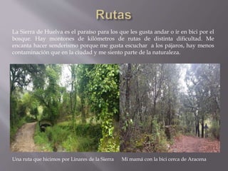 La Sierra de Huelva es el paraíso para los que les gusta andar o ir en bici por el
bosque. Hay montones de kilómetros de rutas de distinta dificultad. Me
encanta hacer senderismo porque me gusta escuchar a los pájaros, hay menos
contaminación que en la ciudad y me siento parte de la naturaleza.
Una ruta que hicimos por Linares de la Sierra Mi mamá con la bici cerca de Aracena
 