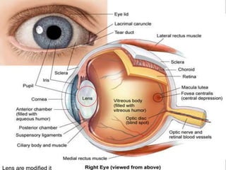 Lens are modified it
 