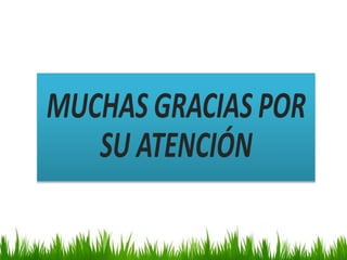 Las imagenes digitales