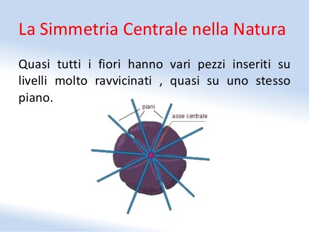 La simmetria centrale