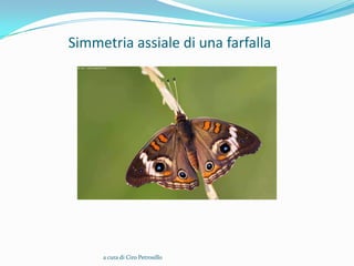 Simmetria assiale di una farfalla




     a cura di Ciro Petrosillo
 