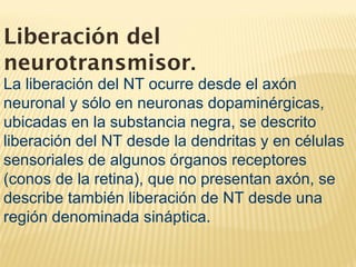 La liberación del NT ocurre desde el axón
neuronal y sólo en neuronas dopaminérgicas,
ubicadas en la substancia negra, se descrito
liberación del NT desde la dendritas y en células
sensoriales de algunos órganos receptores
(conos de la retina), que no presentan axón, se
describe también liberación de NT desde una
región denominada sináptica.
Liberación del
neurotransmisor.
 