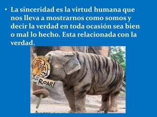 • La sinceridad es la virtud humana que
nos lleva a mostrarnos como somos y
decir la verdad en toda ocasión sea bien
o mal lo hecho. Esta relacionada con la
verdad.
 
