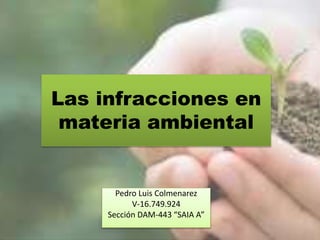 Las infracciones en
materia ambiental
Pedro Luis Colmenarez
V-16.749.924
Sección DAM-443 “SAIA A”
 