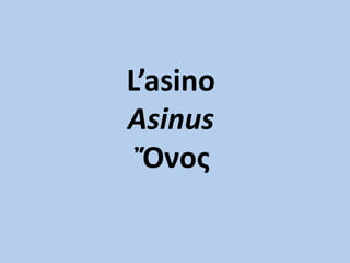 L’asino
Asinus
Ὄνος
 
