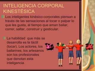 INTELIGENCIA CORPORAL KINESTÉSICA Los inteligentes kinésico-corporales piensan a través de las sensaciones al tocar o palpar lo que les gusta, al tiempo que aman bailar, correr, saltar, construir y gesticular.  La habilidad  que más se desarrolla es la táctil (tocar). Los actores, los bailarines, los artesanos son los profesionales que denotan esta inteligencia.    